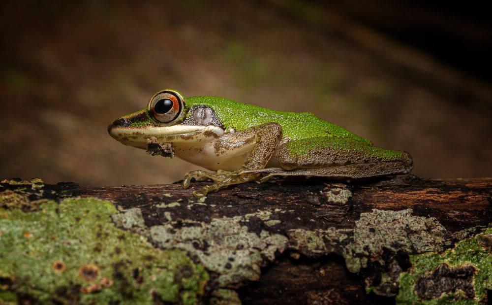 Photograph by Александр Балберов