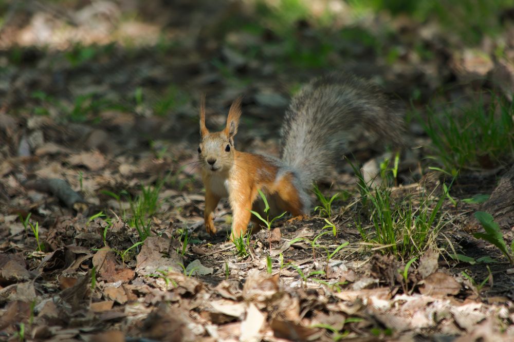 Photograph by Anikin Dimitriy