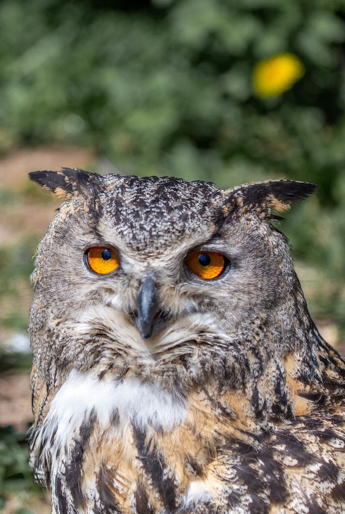 Photograph by Евгения Бочарова