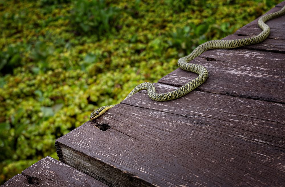 Photograph by Александр Балберов