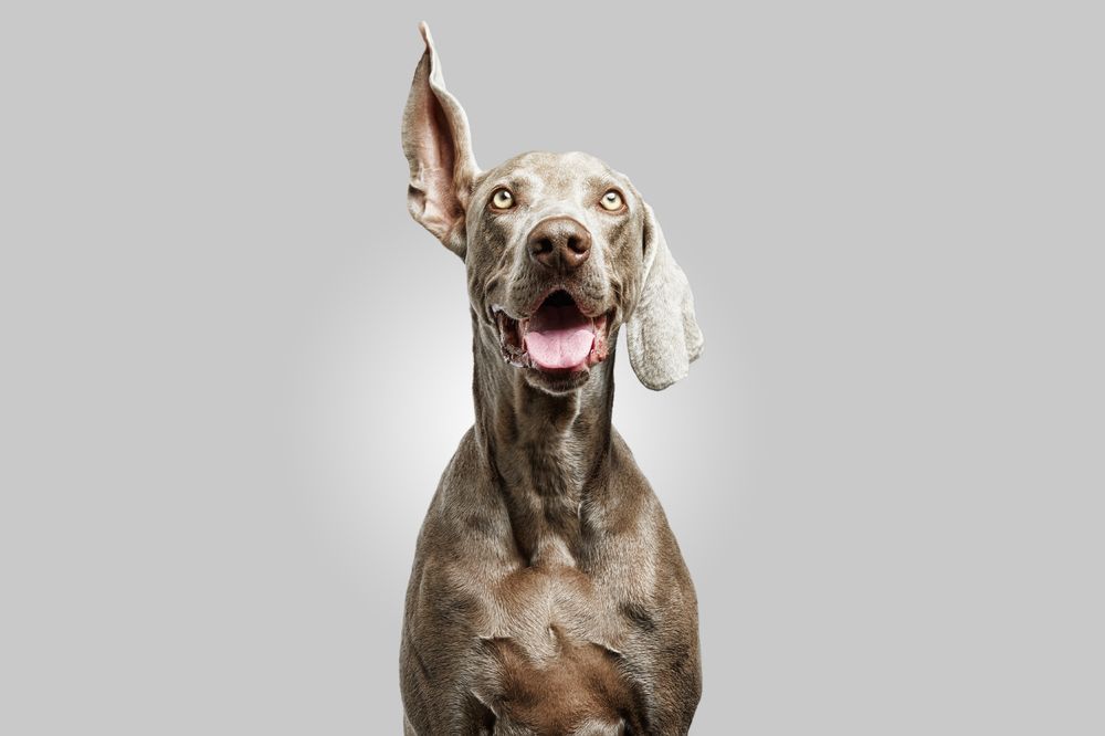 Photograph by Santos Román