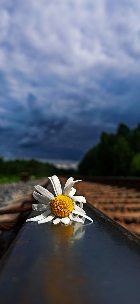 Photograph by Вадим Кумпяк