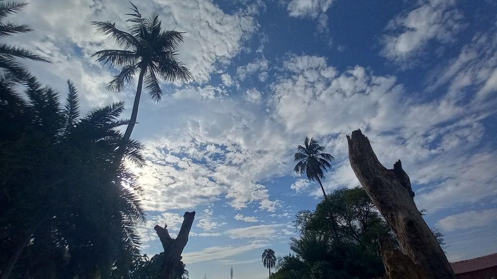 Sky Sketch