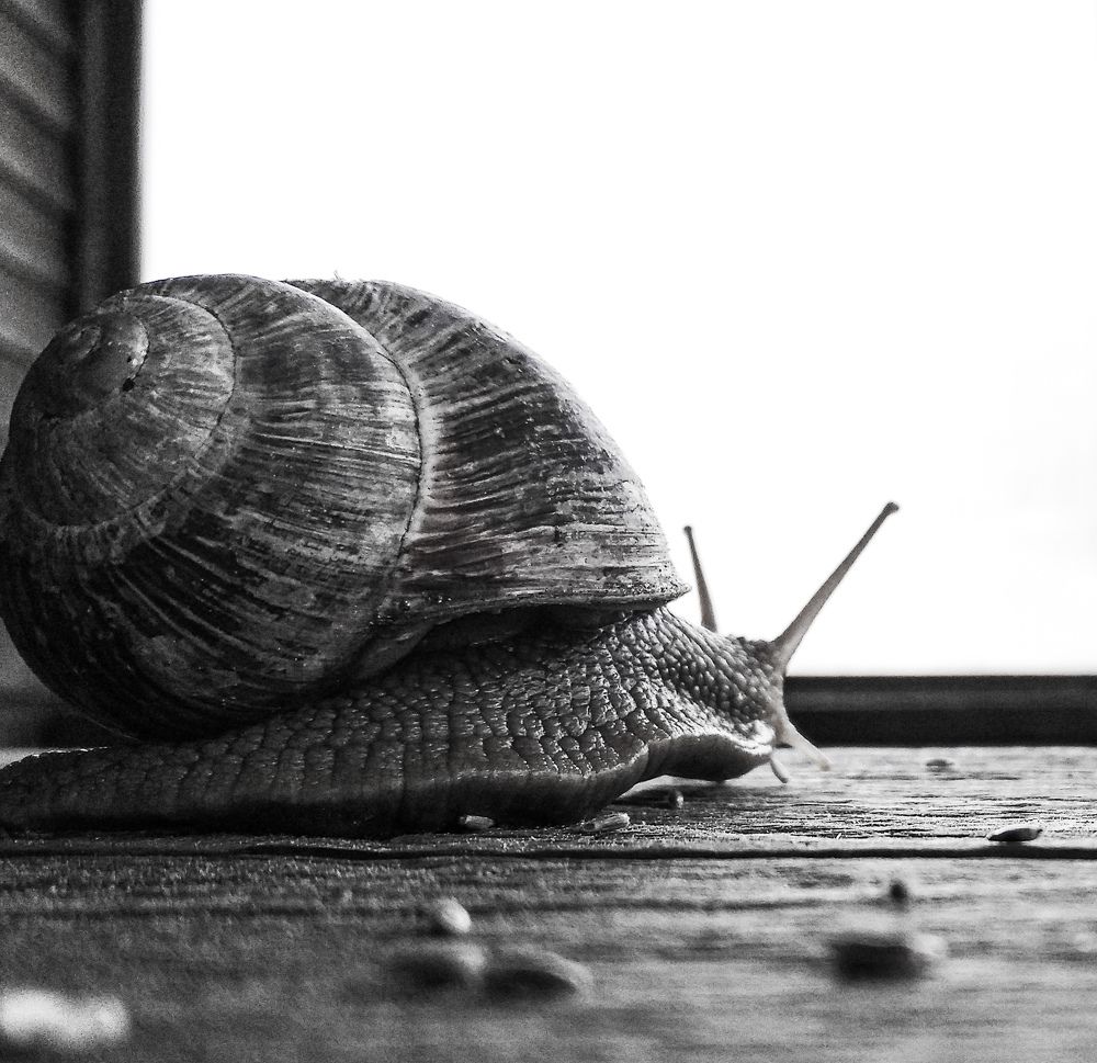 Photograph by Наталья Трофимова