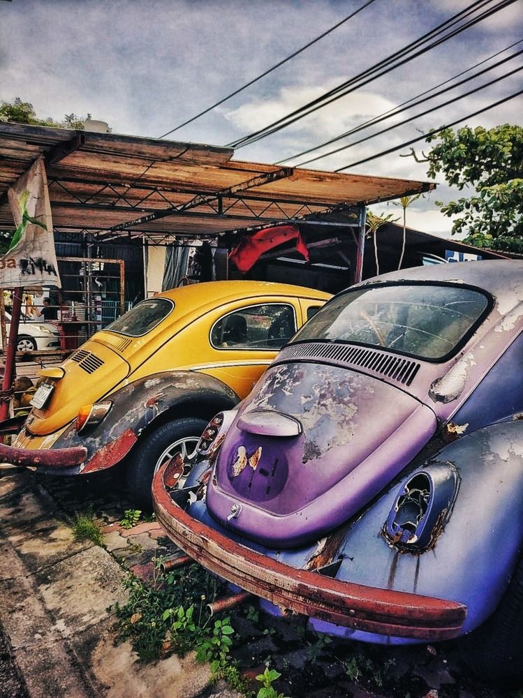 Фотография автора Юлия Новокшанова