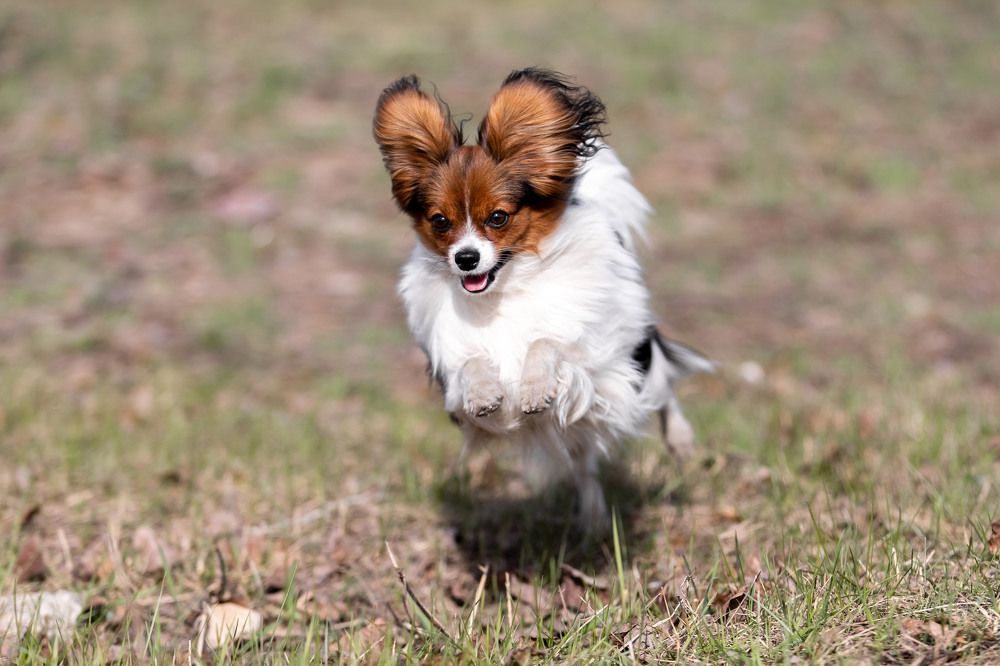 Photograph by Марина Шишкина