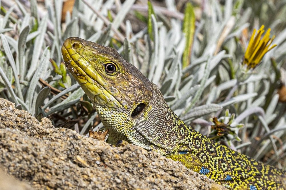 Photograph by Amelia Pardo