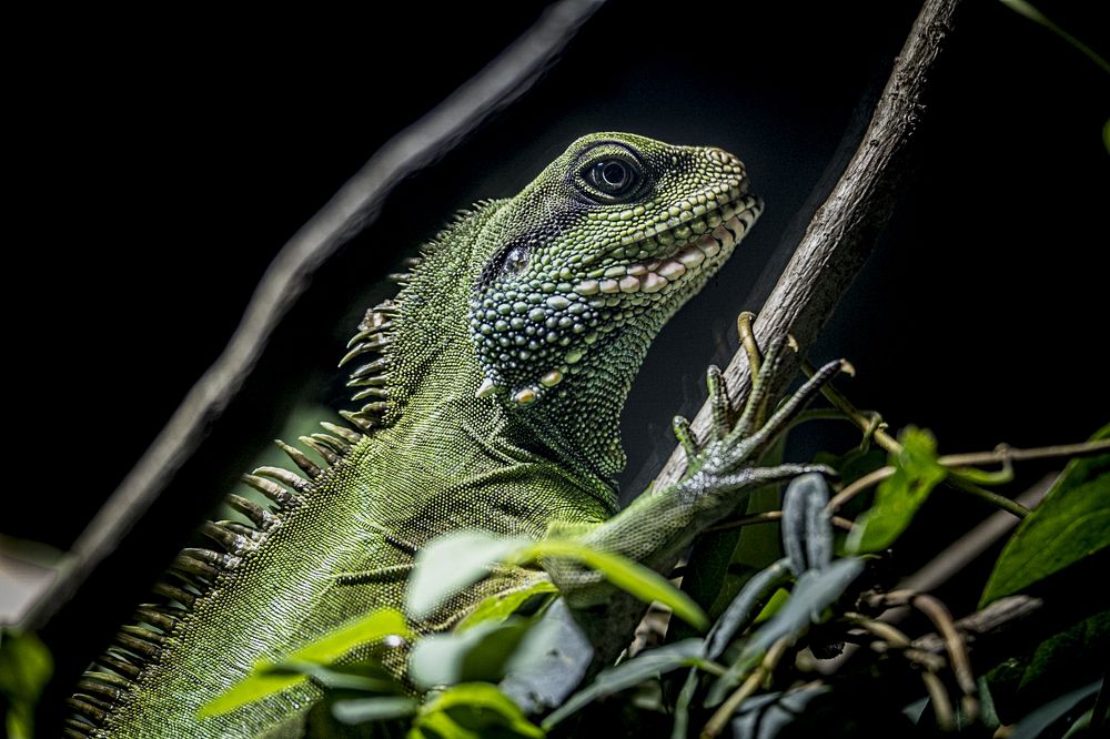 Photograph by Amelia Pardo