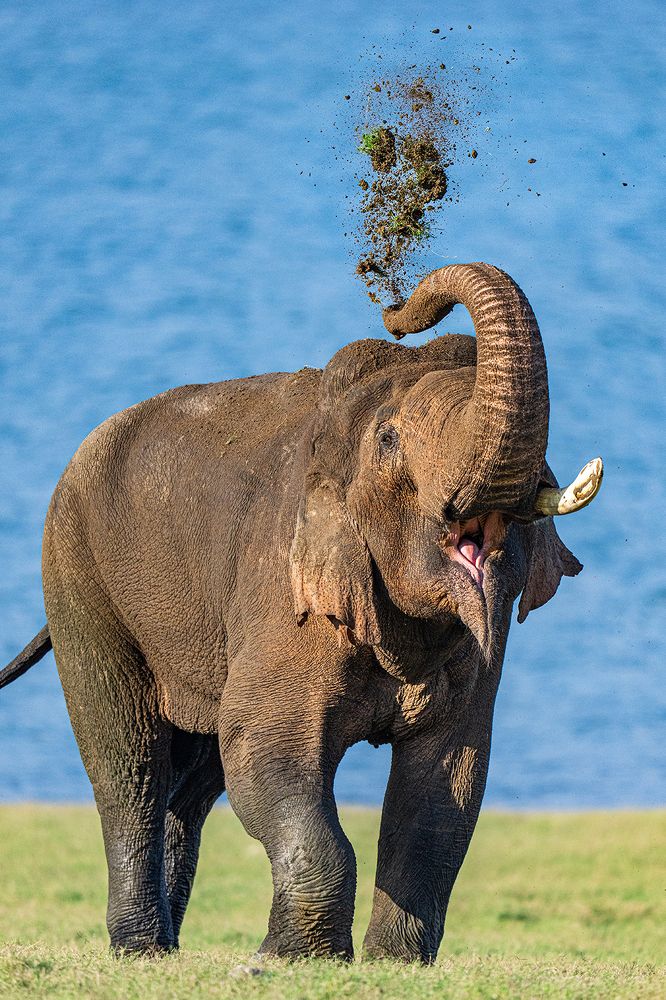 Photograph by Yogesh Bhatia