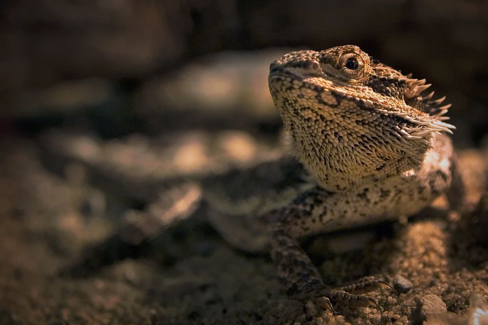 Photograph by Владимир Остапенко