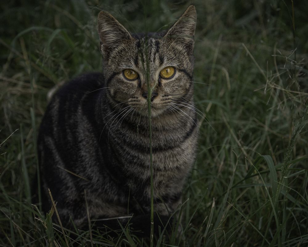 Photograph by Rio Marvin