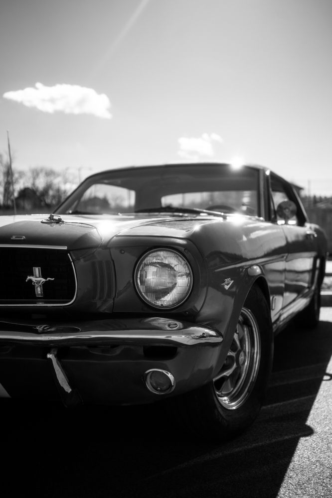 Photograph by Kristiyan Petkov