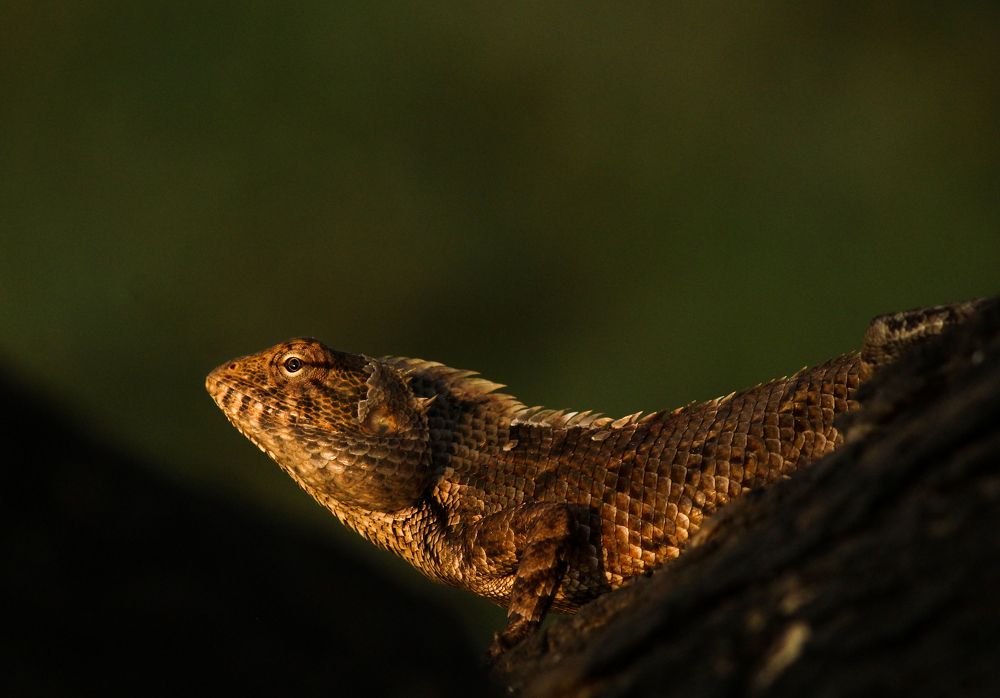 Photograph by Kapilesh Gujarathi