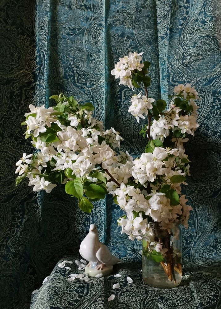 Photograph by Анастасия Кичигина