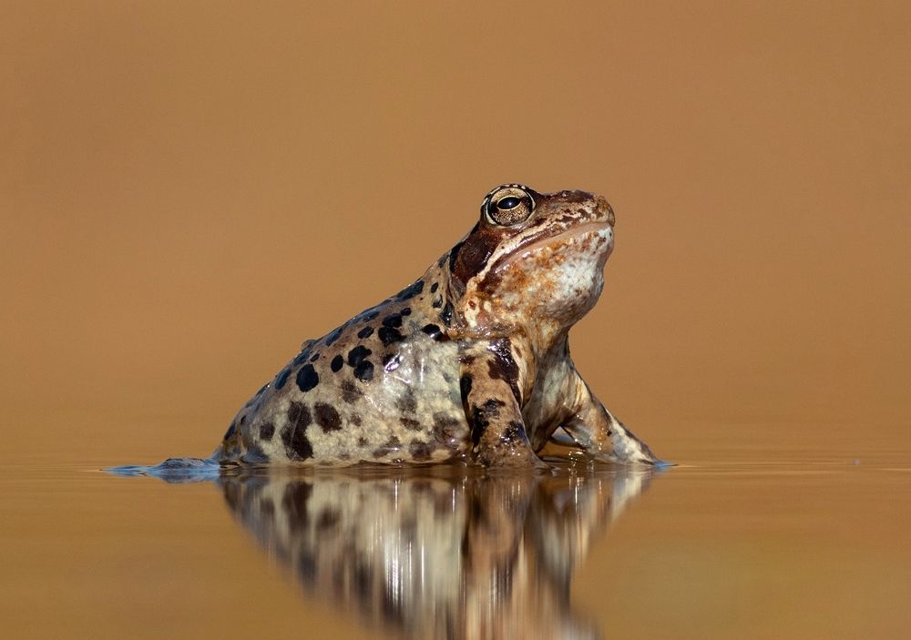 Photograph by Павел Краснослободцев