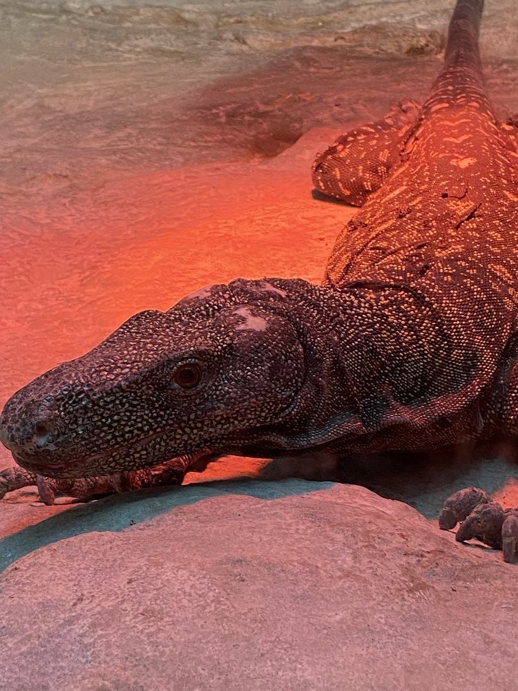 Photograph by Елена Мусина