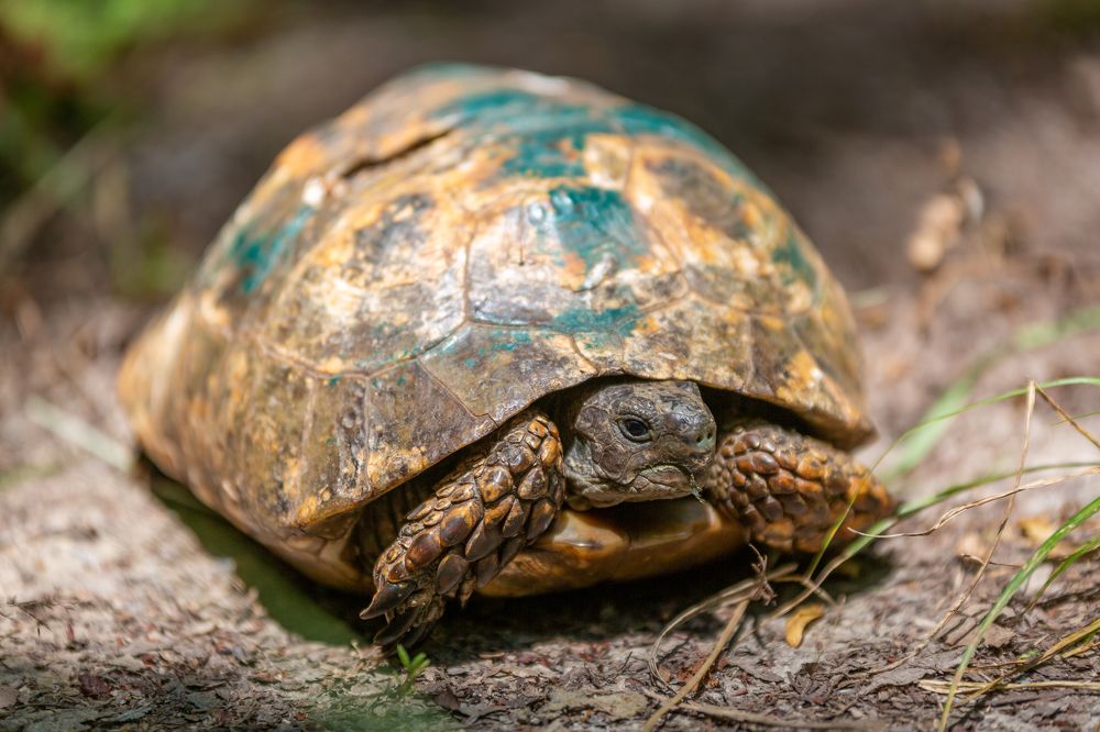 Photograph by Sergey