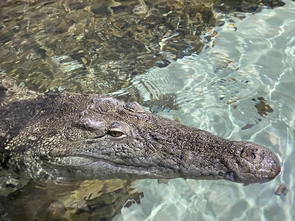 Photograph by Елена Мусина