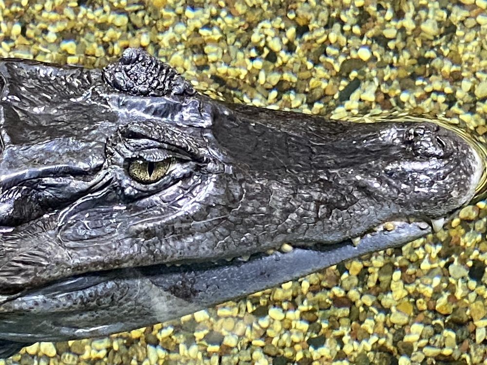 Photograph by Елена Мусина