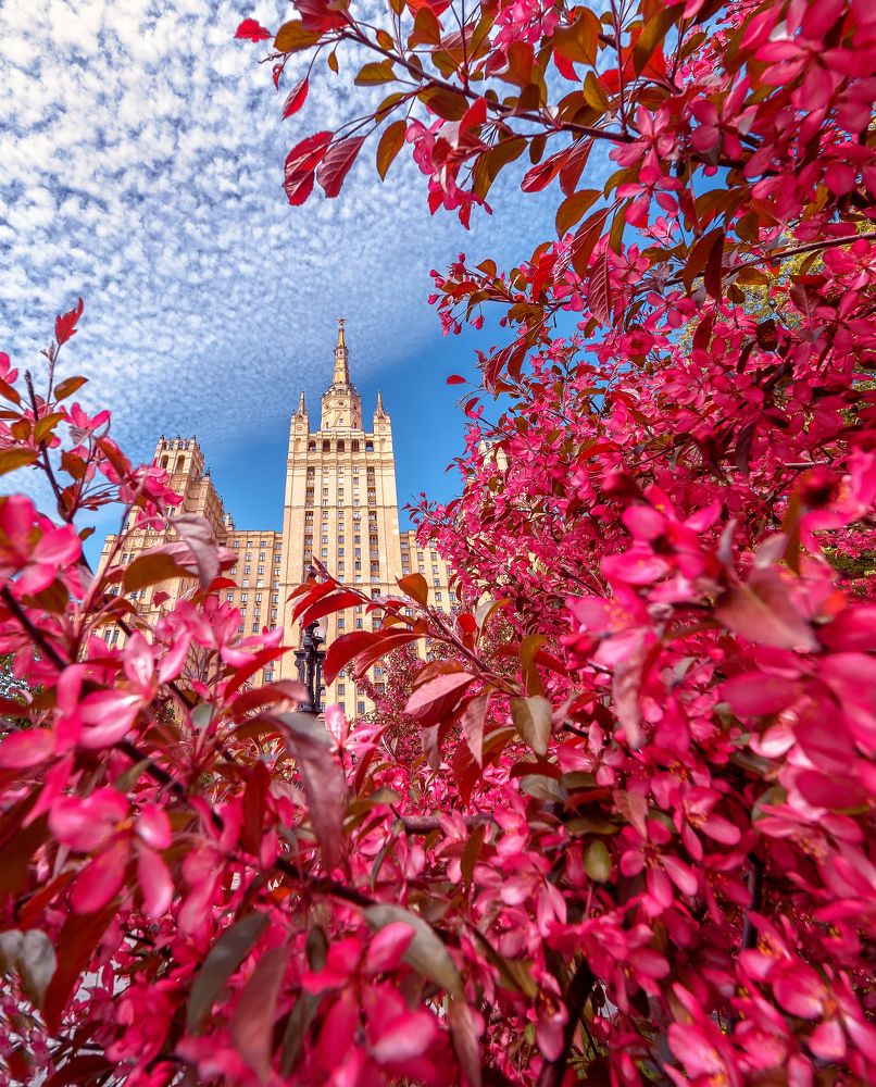 Фотография автора Мазурева Анастасия