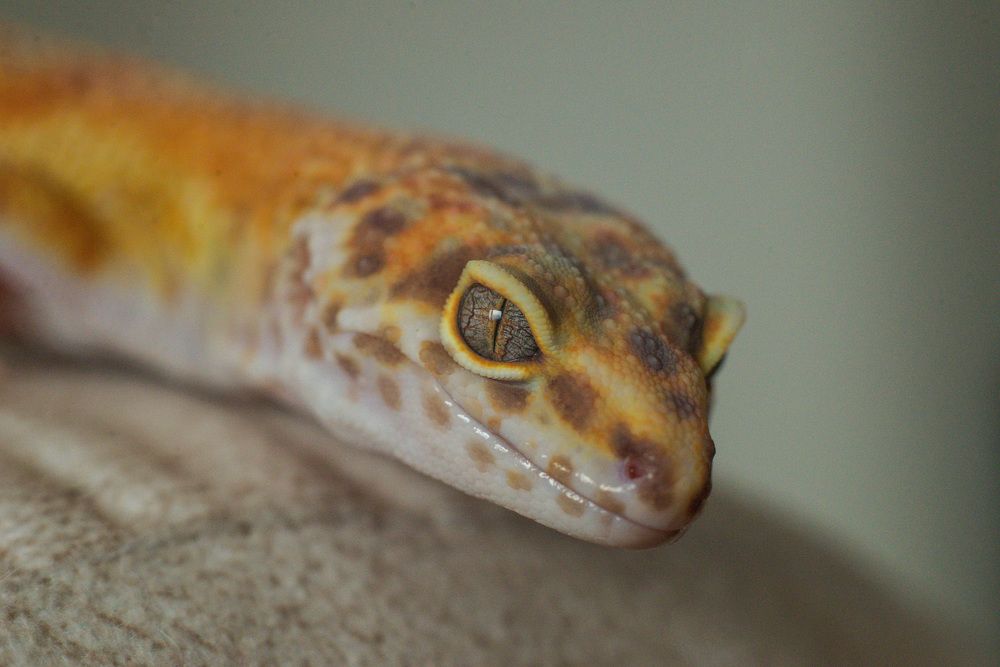 Photograph by Ирина