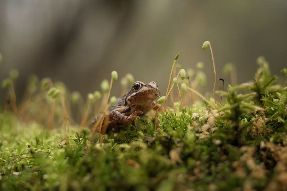 Photograph by Сальников Евгений