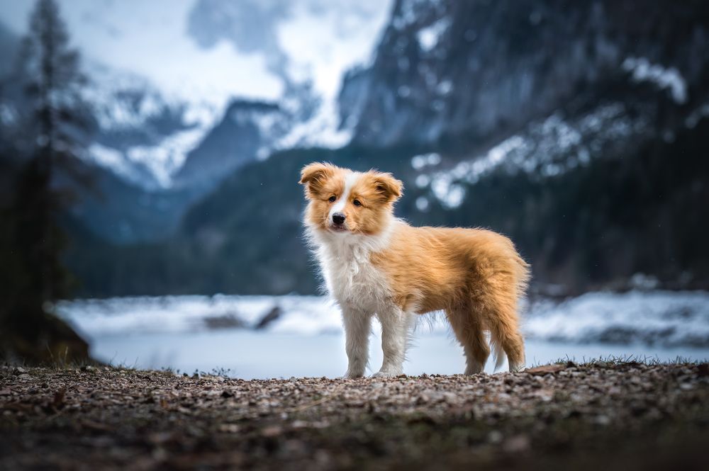 Photograph by Thymen van Schaik