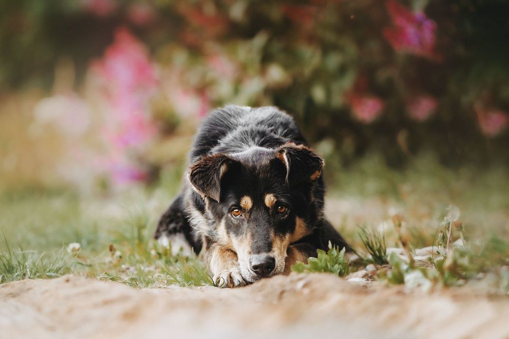 Фотография автора Анна