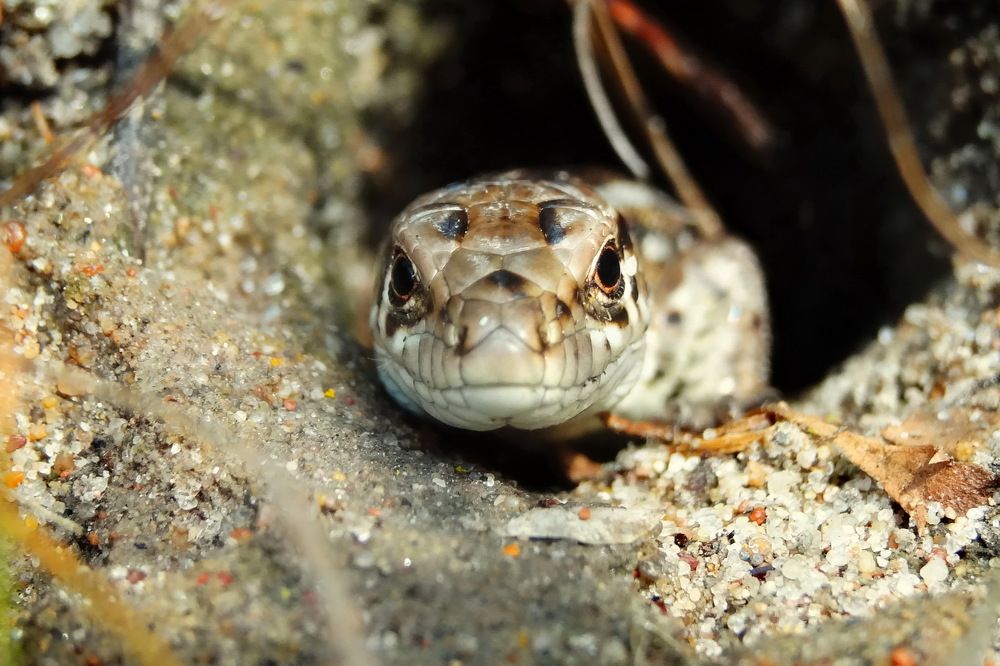 Photograph by Александр Фокин