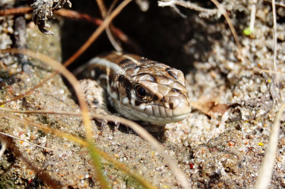 Photograph by Александр Фокин