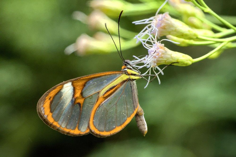 Photograph by Eduardo Bom