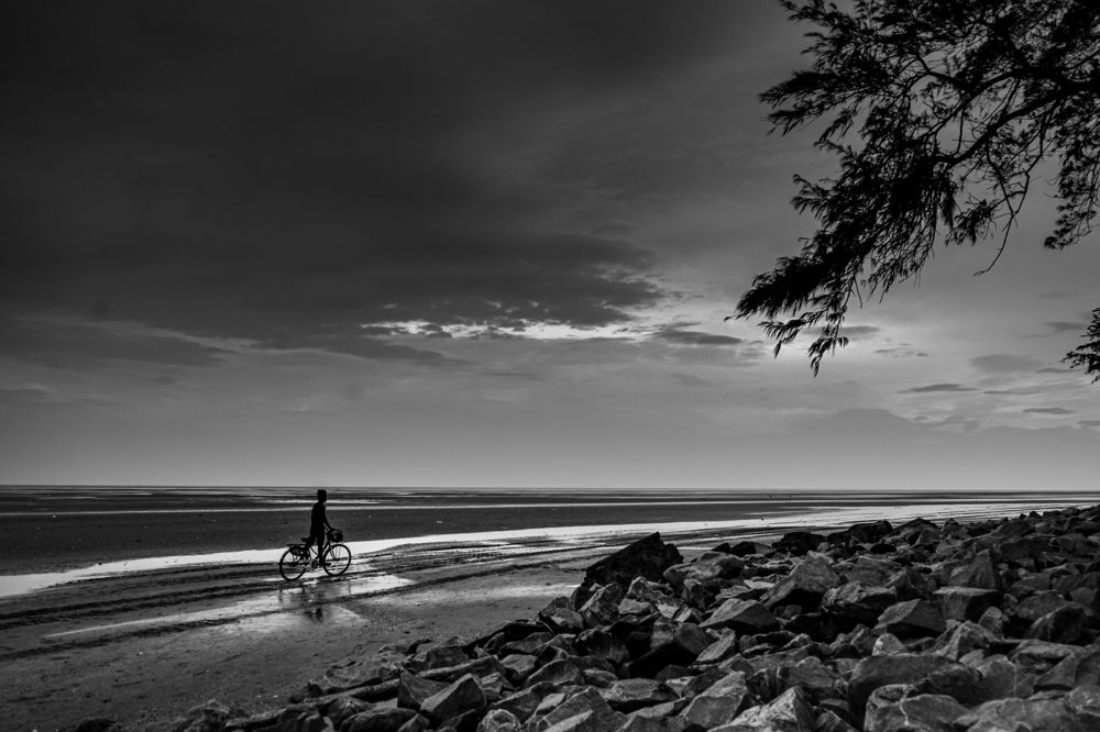 Dreams along a fading shoreline.