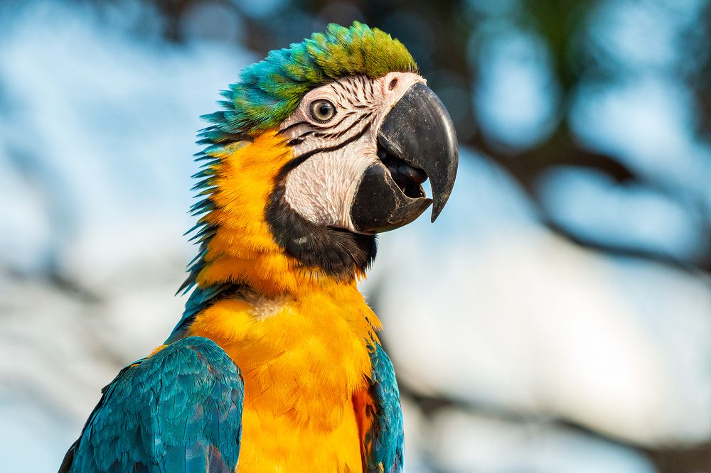 Photograph by Christofer Silva Oliveira