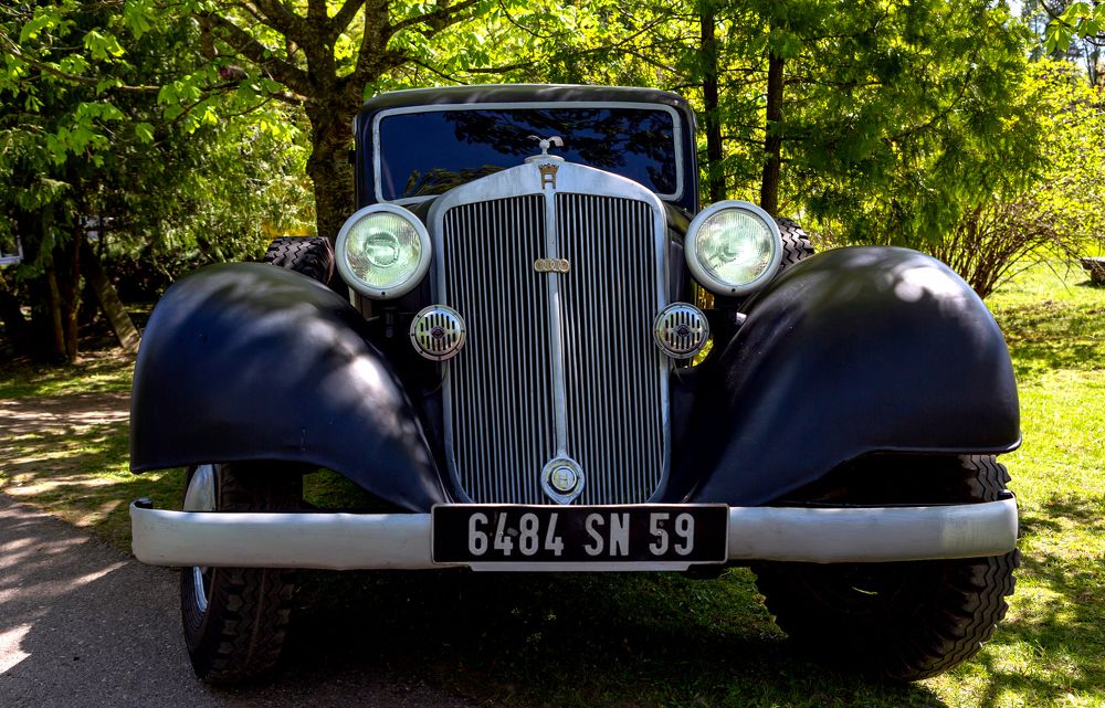 Photograph by Диана Бородзе