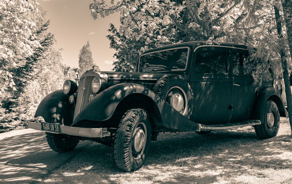 Photograph by Диана Бородзе