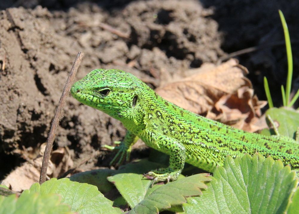 Photograph by Александр Коркин