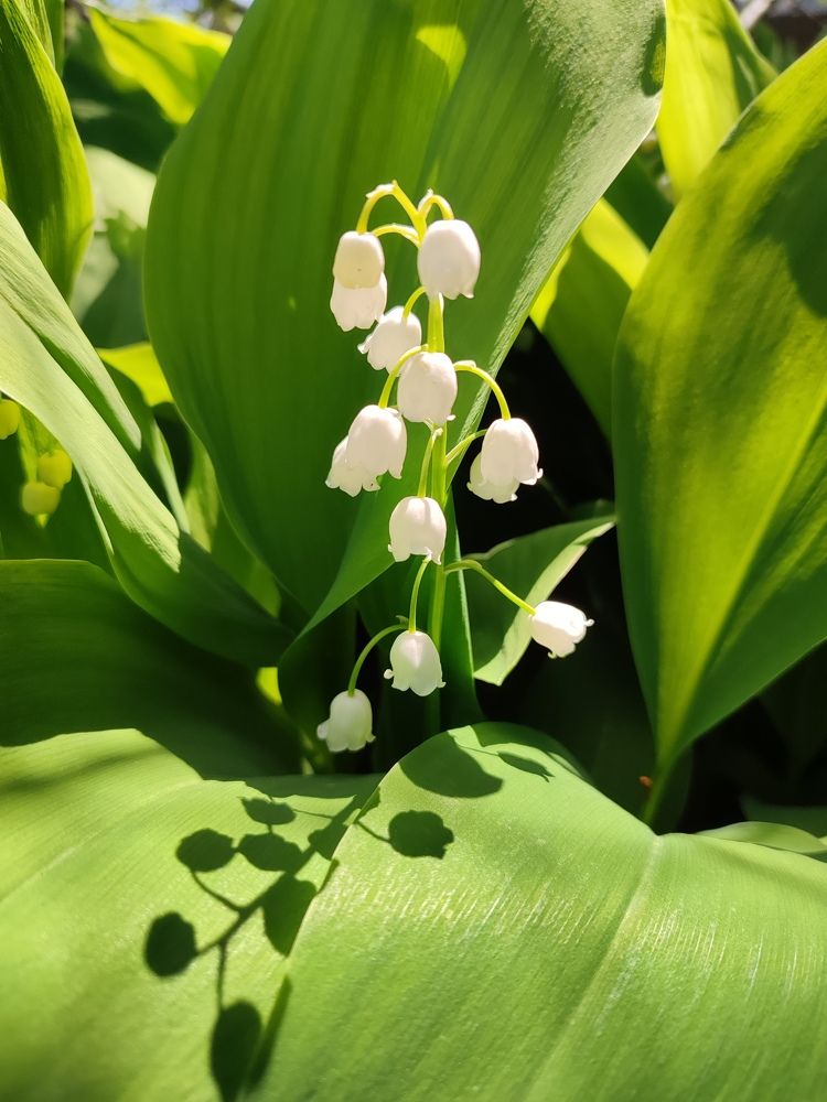 Photograph by Александр Коркин