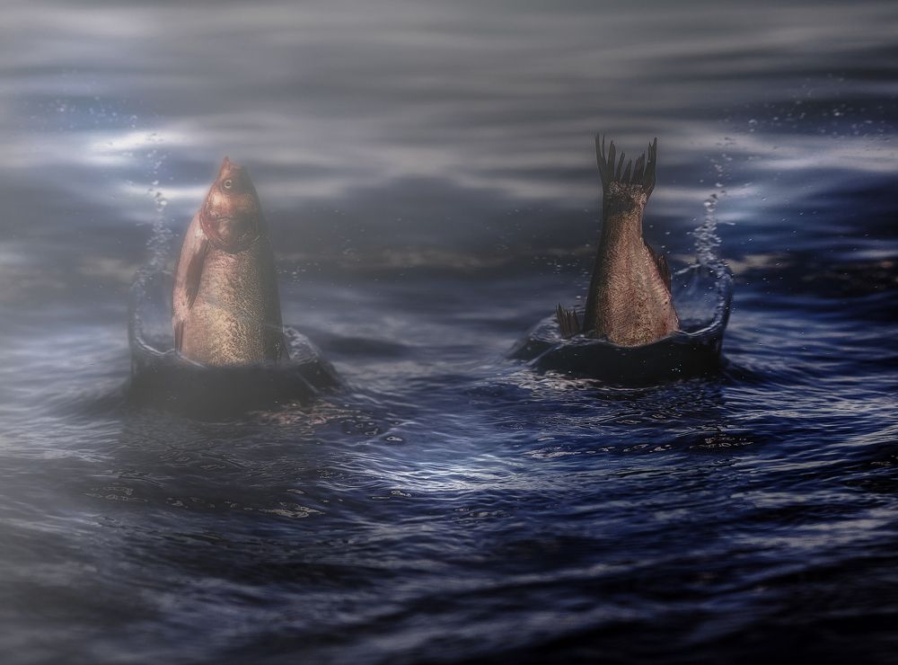 Photograph by Виктор Холодов