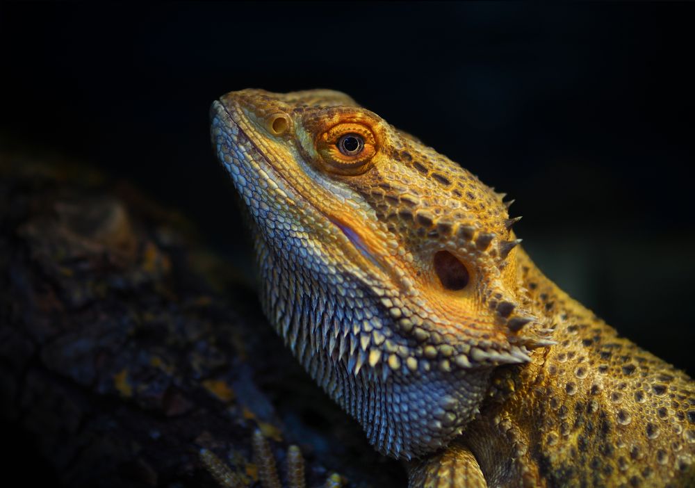 Photograph by Андрюс Киркляускас