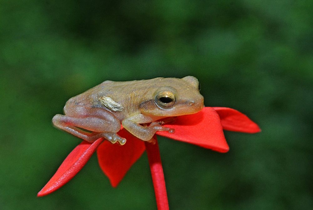 Photograph by CHINMOY BISWAS