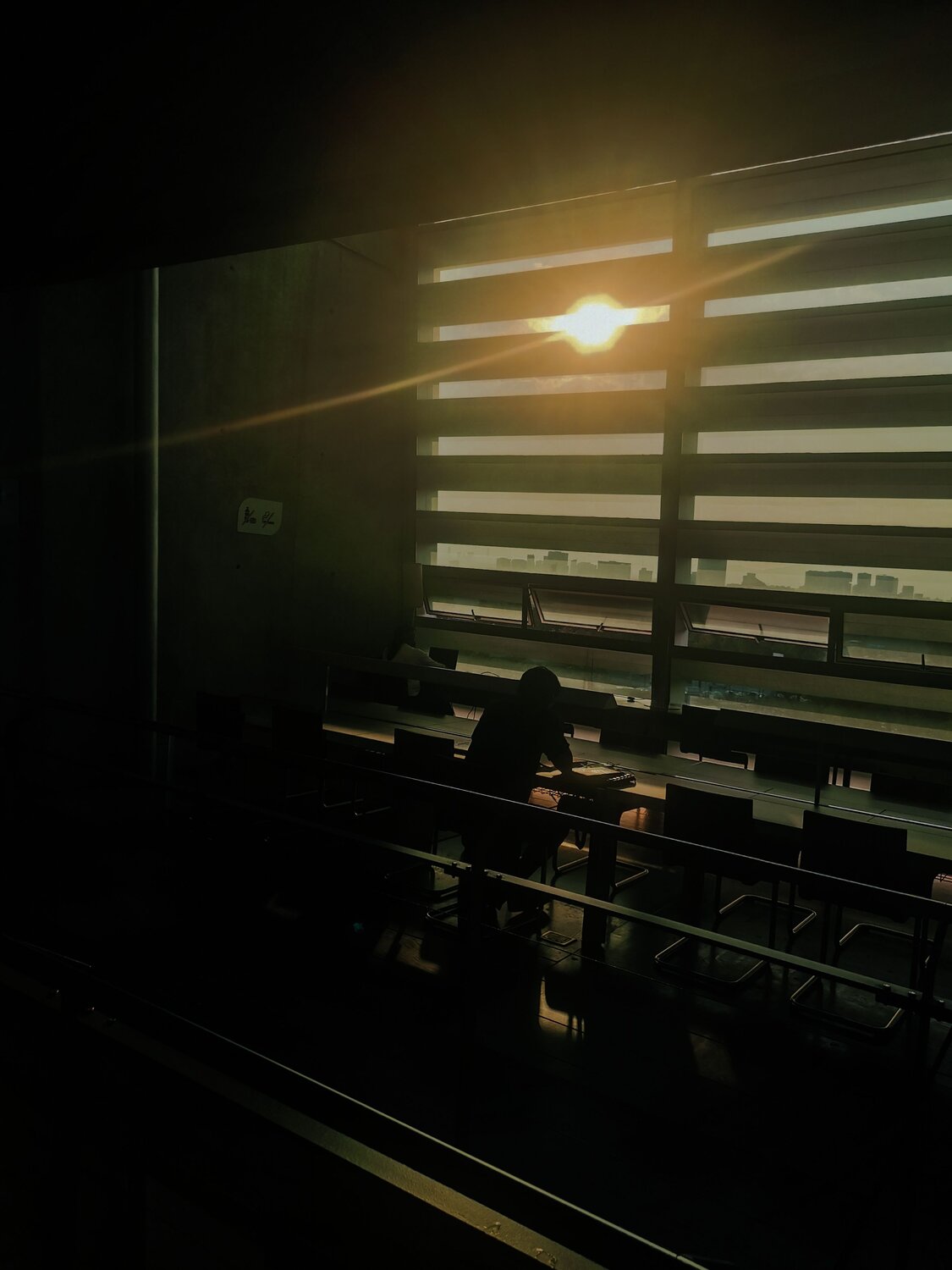 Photo #9129634