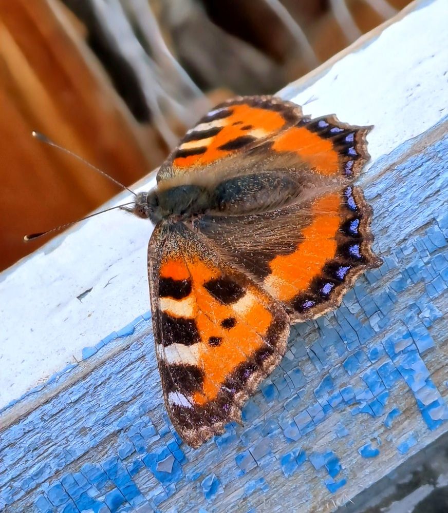 Photograph by Николай Худяков