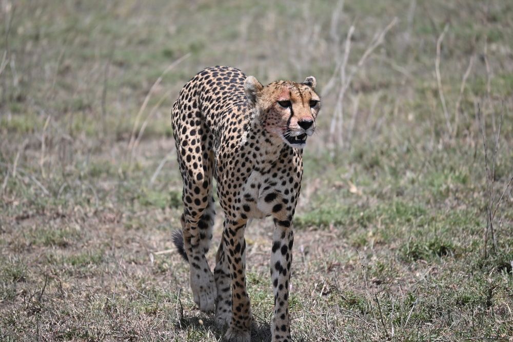 Photograph by Magassa Photography