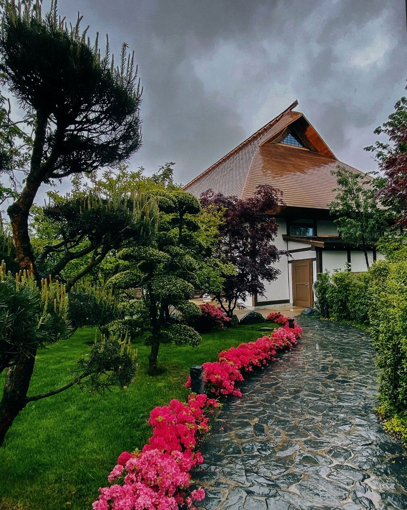 Photograph by Алина Барабохина