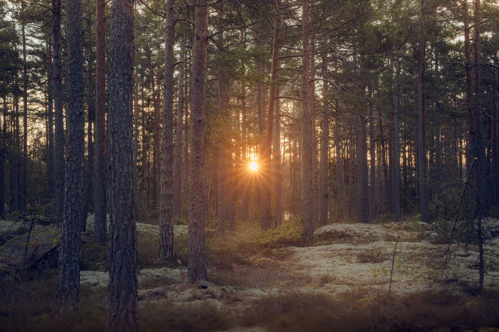 Photograph by Margarita Zakaryan