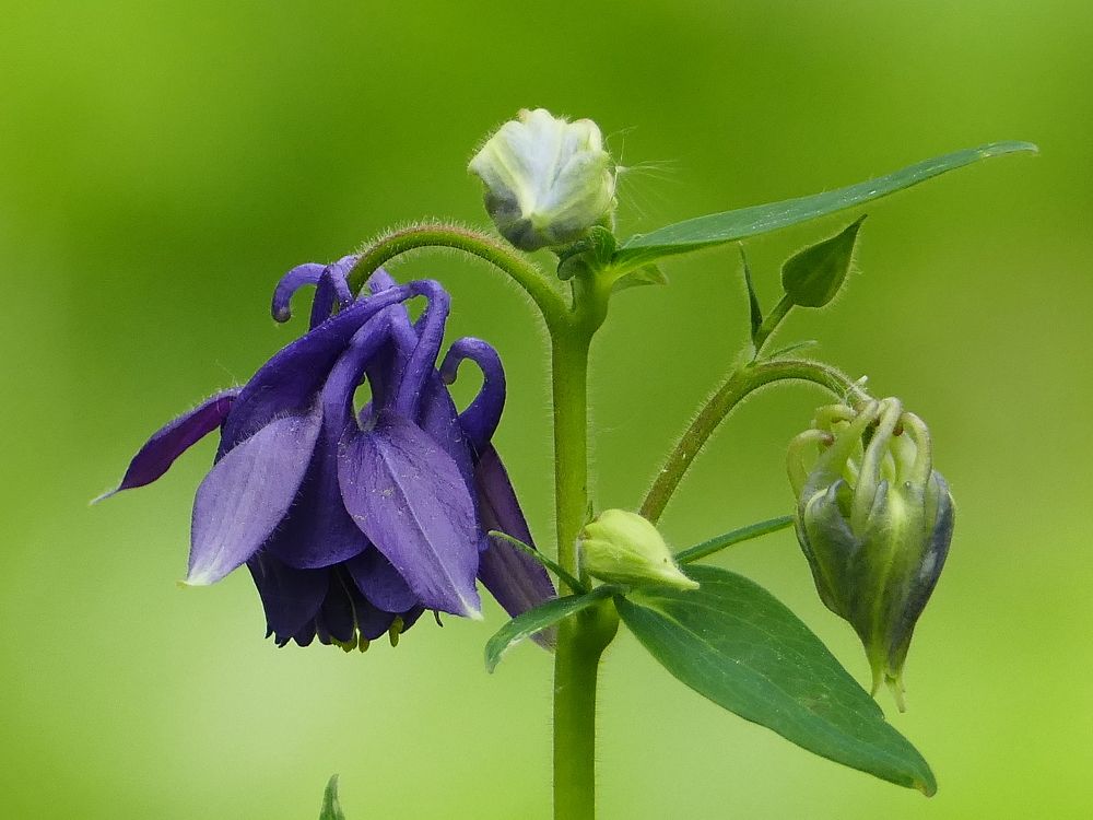 Photograph by Александр Кизим