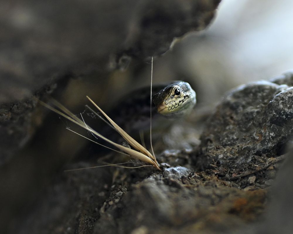 Photograph by Жанна Агафонова