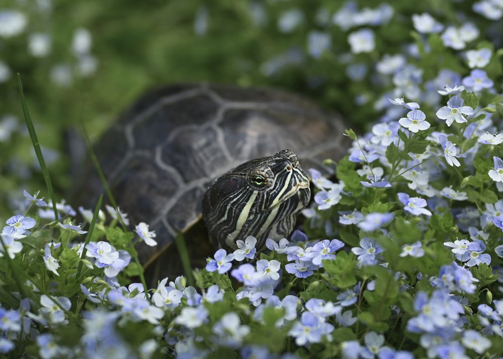 Photograph by Жанна Агафонова