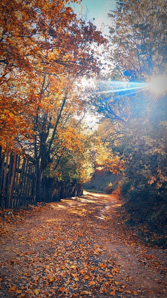 Photograph by Fatmir Bajrovic