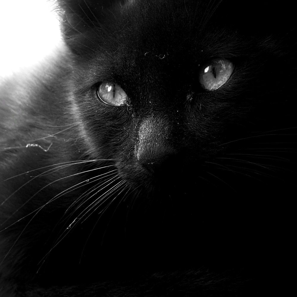 Photograph by Ahmad LOUKILI